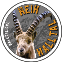 Mein Halltal Logo