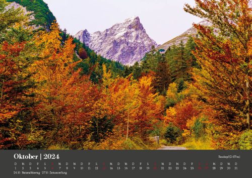 halltal-kalender-2024-12